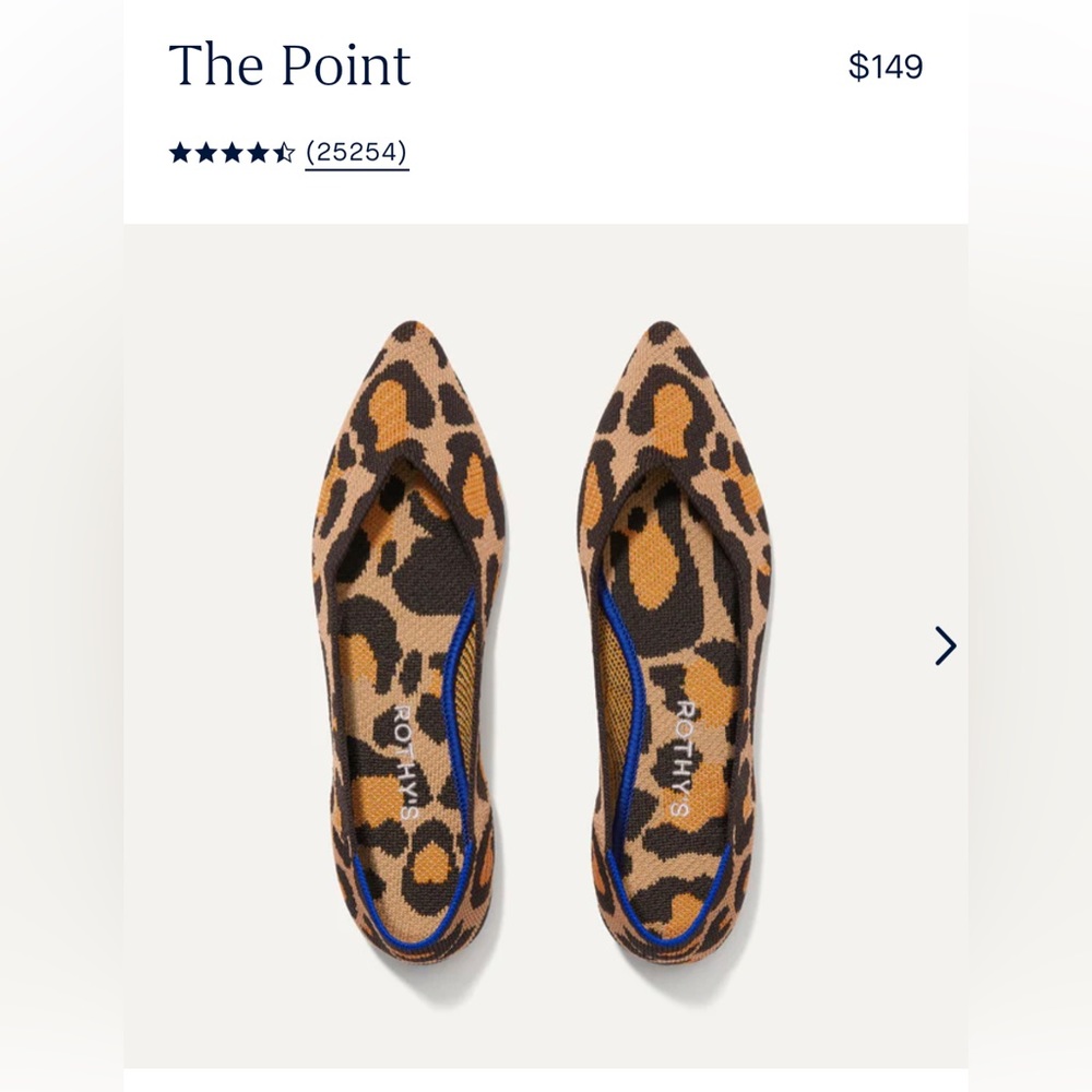 Rothy’s The Point Flats
